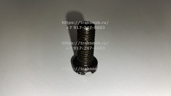 Винт крепления пластины распред/вала — 2