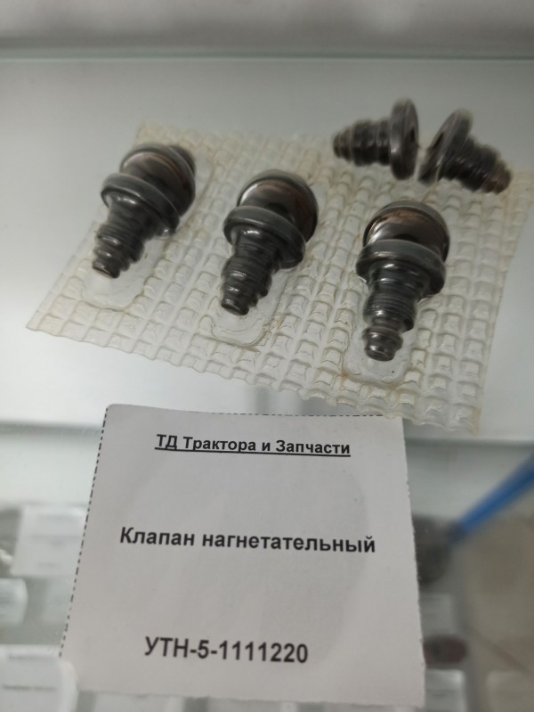 Клапан нагнетательный — 1