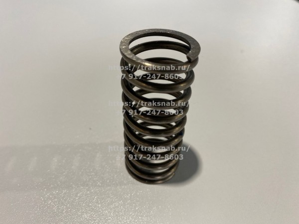 Пружина клапана наружняя Д245 — 3