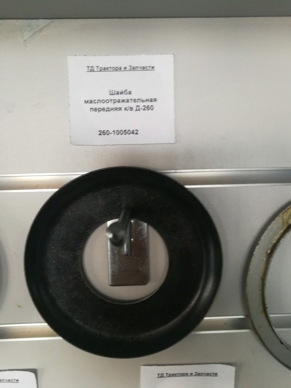 Шайба маслоотражательная передняя к/в Д-260 — 1