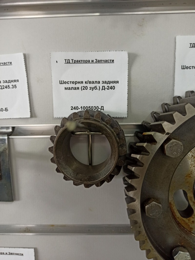 Шестерня к/вала задняя малая (20 зуб.) Д-240 — 1