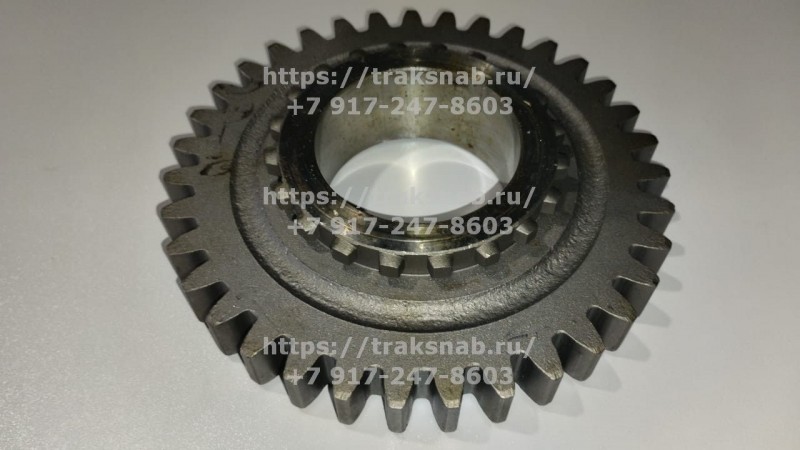 Шестерня 50-1721031 — 1