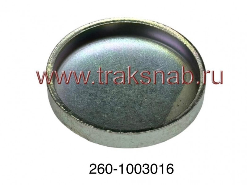 Заглушка головки блока Д-260 — 4