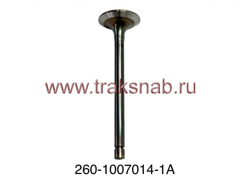 Клапан впускной (большой)  Д-260 оригинал — 3