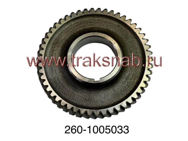 Шестерня к/вала передняя большая (50 зуб.) Д-260 — 2